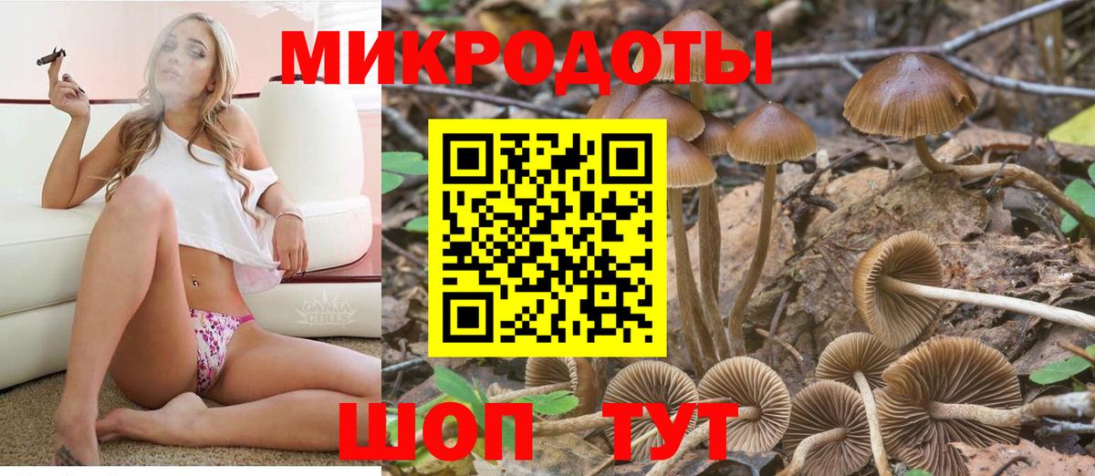 Галлюциногенные грибы GOLDEN TEACHER Тула