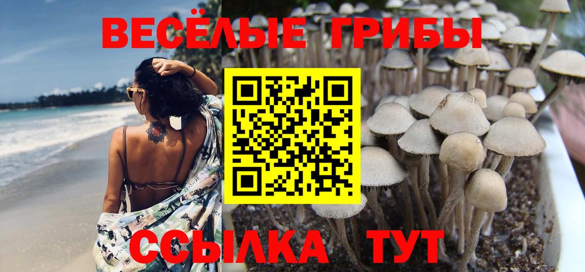 где купить наркоту  Псилоцибиновые грибы Psilocybine cubensis  Вход с VPN  Тула 